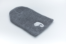 Load image into Gallery viewer, Schoolism Toque
