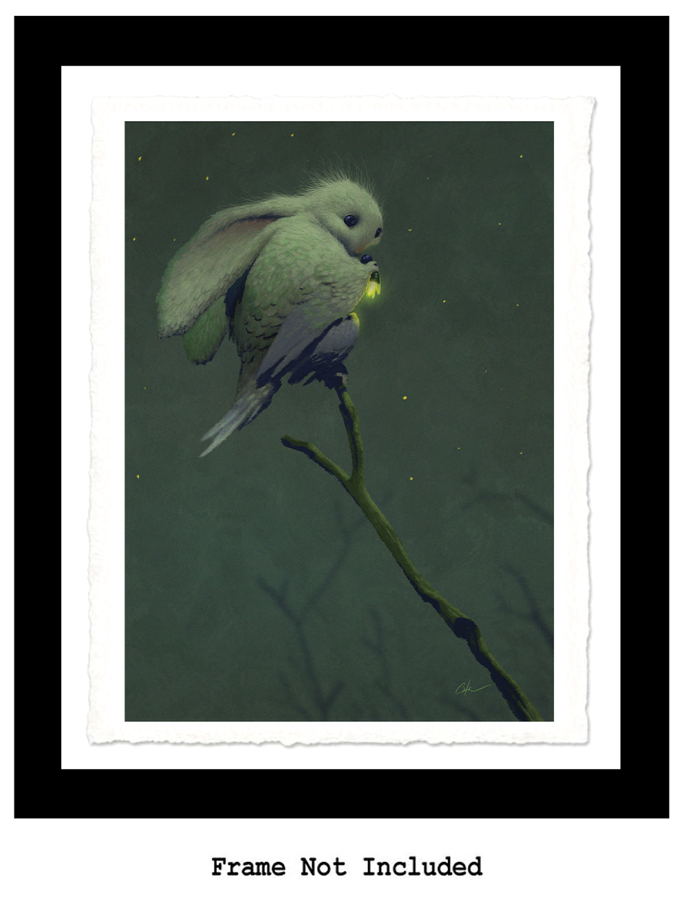 Nocturnal Print